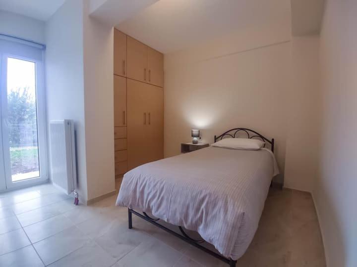Cozy Modern Apartment Ioannina Exterior foto